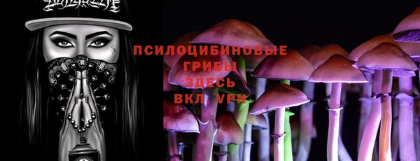 jwh Карпинск