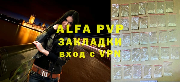 стафф Арсеньев