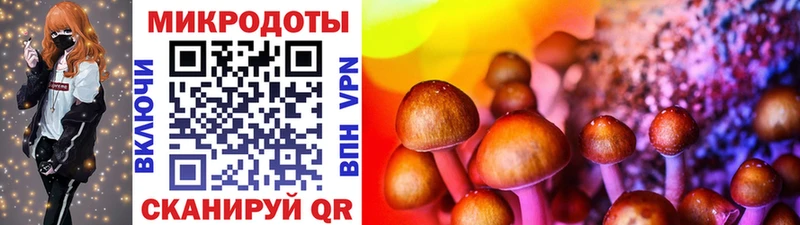 закладка  mega маркетплейс  Псилоцибиновые грибы Psilocybine cubensis  Петропавловск-Камчатский 